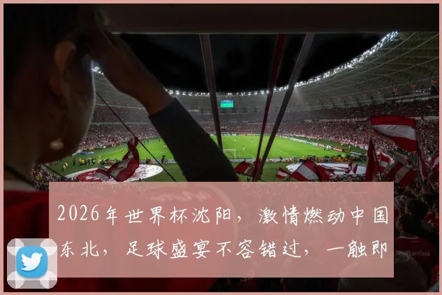 2026年世界杯沈阳，激情燃动中国东北，足球盛宴不容错过，一触即发